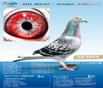 �����ؠ�006ֱ�ӡ������üt̖(h��o)���H�OŮ��