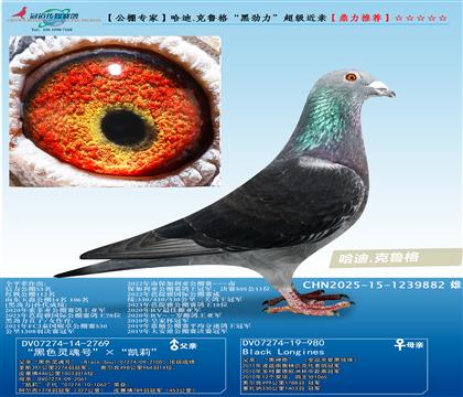 �����/����.�����񡰺ڄ���������(j��)���H