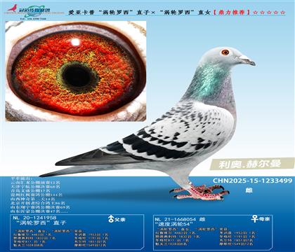 �ہ����ա��u݆�_����ֱ�ӡ����u݆�_����ֱŮ