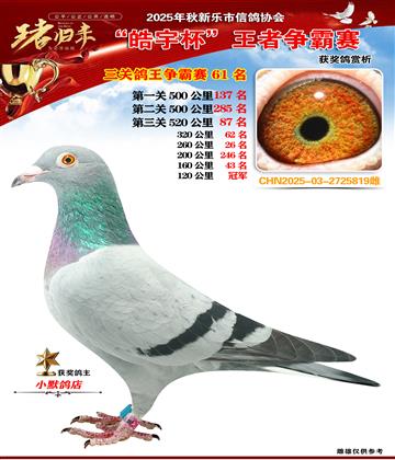 ���P(gu��n)������(zh��ng)��ِ61��