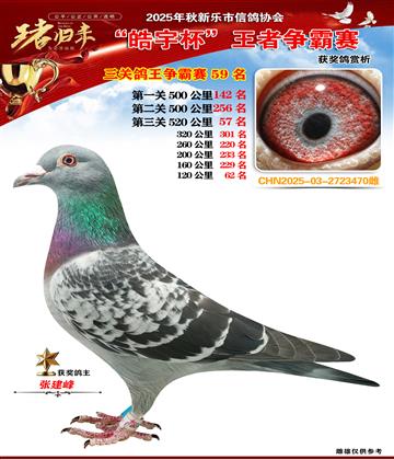 ������(zh��ng)�����P(gu��n)����59��