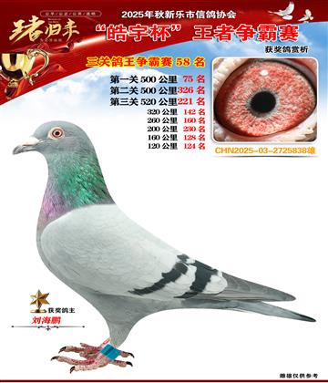 ������(zh��ng)�����P(gu��n)����58��