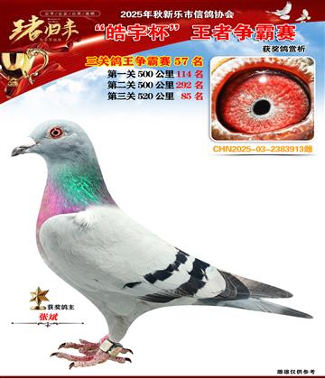 ������(zh��ng)�����P(gu��n)����57��