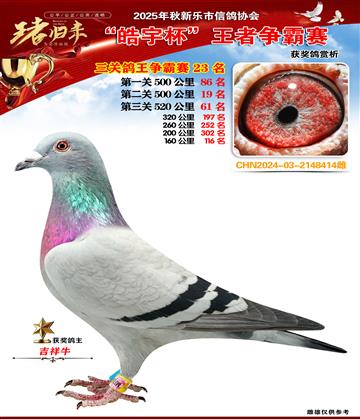 ������(zh��ng)�����P(gu��n)�C��23��