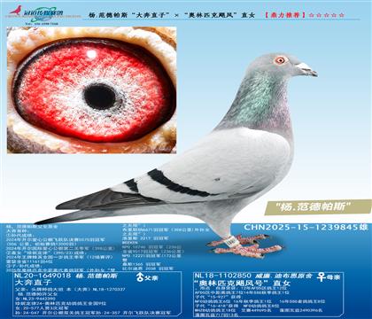 ��.������˹����ֱ�ӡ������W��ƥ���Z�L(f��ng)��ֱŮ