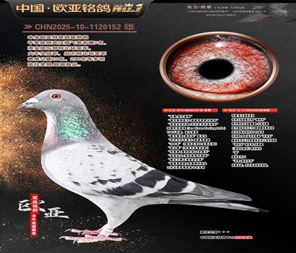 ���Wԭ��220X���_����(d��)�۴�003