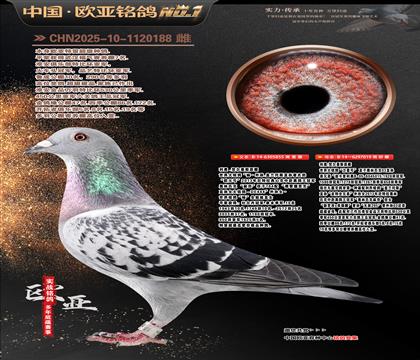 ���Wԭ�����O855X�Ͽ������W����̖(h��o)019(С�w��)