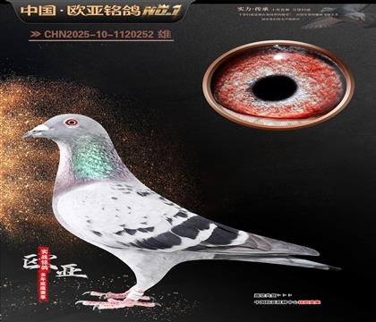 ղɭ����̖(h��o)�Ĺ���������124X919ֱŮ080