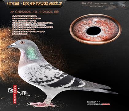 ���Wԭ��Ư��̖(h��o)828X������040