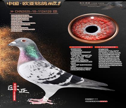 ���Wԭ��Ư��̖(h��o)828X������040