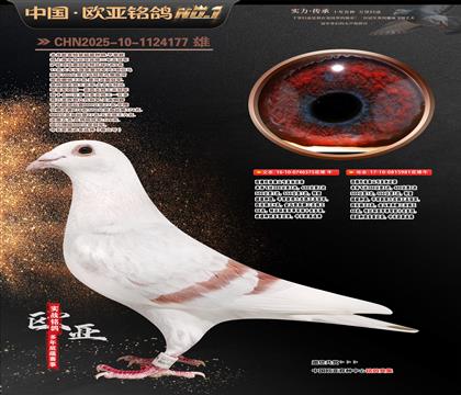 ̩ɽ̖(h��o)�p�ؽ��H375X̩ɽ̖(h��o)981���H