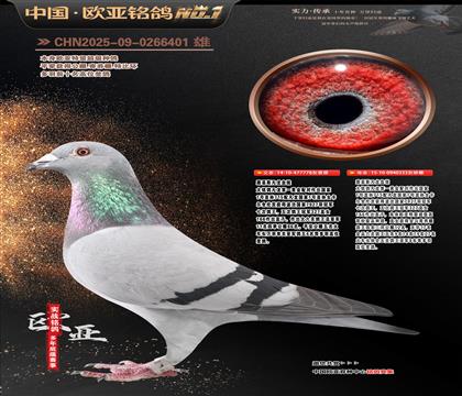 ·��˹����778X����333���H