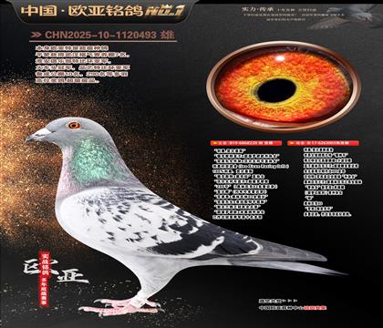 ���Wԭ��220X���_����(d��)�۴�003