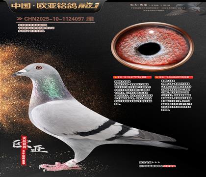 ·��˹����778X����333���H