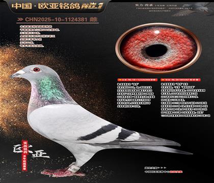 ��.����˹ԭ�ᡰ������638X�������H367