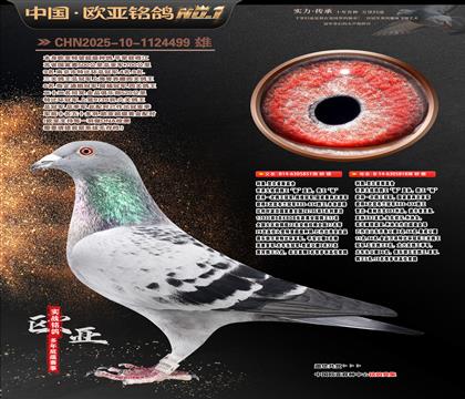 ���Wԭ���������851X�������ֱ�O818���H