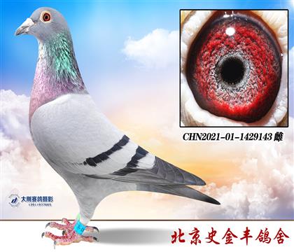 KBDB����6��KBDB����12