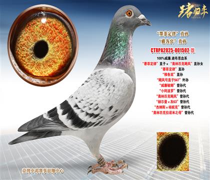 ����.�ϲ�����ī�ƶ��ɡ�ֱ�ӡ����W��ƥ���Z�L��ֱ�OŮ