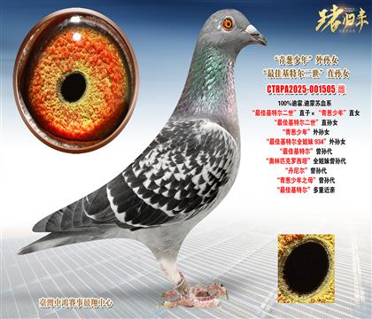 �ϻ�.�����K����ѻ��ؠ�������ֱ�ӡ������[���ꡱֱŮ