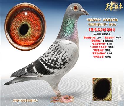 �ϻ�.�����K����ѻ��ؠ�II����ֱ�ӡ�����ѻ��ؠ�����OŮ