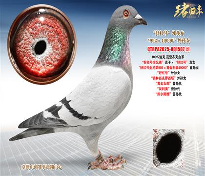 �Ͽ�.���ǲ��ˡ��üt̖ȫ�ֵܡ�ֱ�ӡ����üt̖��ֱŮ