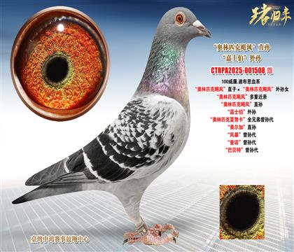 ����.�ϲ������W��ƥ���Z�L��ֱ�ӡ����W��ƥ���Z�L����OŮ