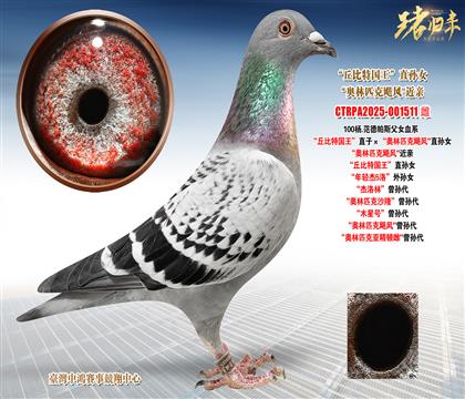 ��.������˹������؇�����ֱ�ӡ����W��ƥ���Z�L��ֱ�OŮ