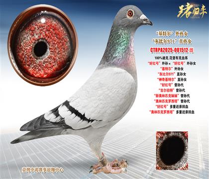 �Ͽ�.���ǲ��ˡ��üt̖����O�����üt̖����OŮ