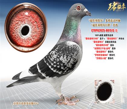 �ϻ�.�����K����ѻ��ؠ�II����ֱ�ӡ�����ѻ��ؠ�����OŮ