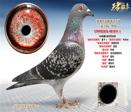 ����.�ϲ������W��ƥ���Z�L��ֱ�ӡ����W��ƥ���Z�L����OŮ