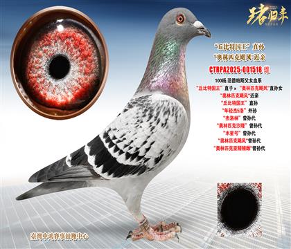 ��.������˹������؇�����ֱ�ӡ����W��ƥ���Z�L��ֱ�OŮ