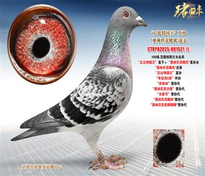 ��.������˹������؇�����ֱ�ӡ����W��ƥ���Z�L��ֱ�OŮ