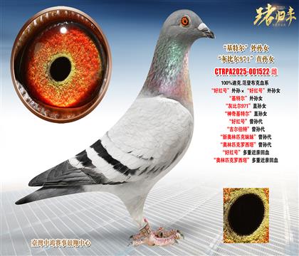 �Ͽ�.���ǲ��ˡ��üt̖����O�����üt̖����OŮ