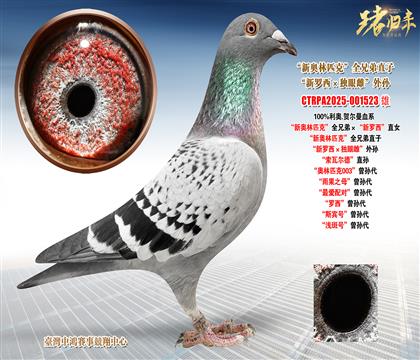 ���W.�R�������W��ƥ�ˡ�ȫ�ֵܡ������_����ֱŮ