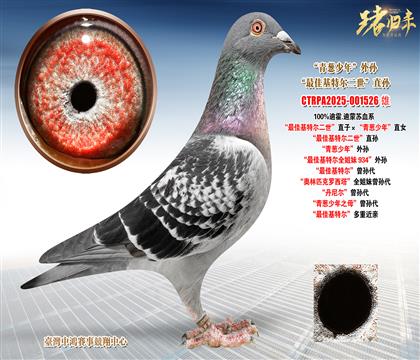 �ϻ�.�����K����ѻ��ؠ�������ֱ�ӡ������[���ꡱֱŮ