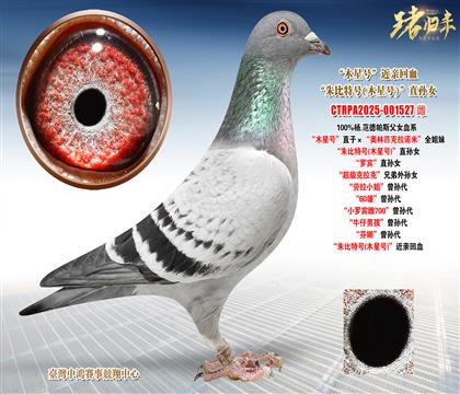 ��.������˹��ľ��̖(h��o)��ֱ�ӡ����W��ƥ�����Z�ס�ȫ����