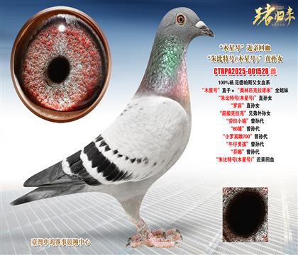 ��.������˹��ľ��̖(h��o)��ֱ�ӡ����W��ƥ�����Z�ס�ȫ����