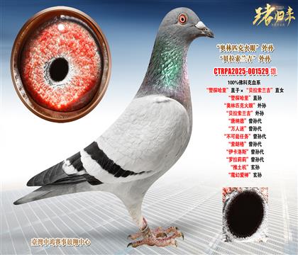 ��ƿˡ���̽���ֱ�ӡ���ؐ�����m����ֱŮ