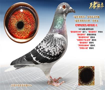 �ϻ�.�����K����ѻ��ؠ�II����ֱ�ӡ�����ѻ��ؠ�����OŮ