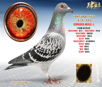 ����.�ϲ������W��ƥ���Z�L(f��ng)��ֱ�ӡ����W��ƥ���Z�L(f��ng)����OŮ