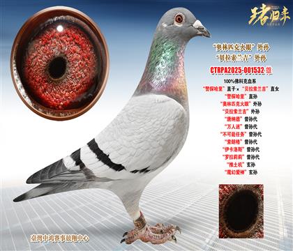 ��ƿˡ���̽���ֱ�ӡ���ؐ�����m����ֱŮ