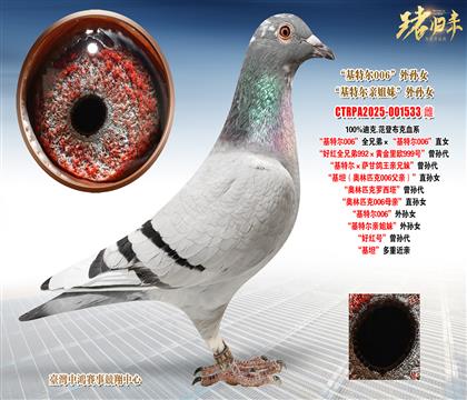 �Ͽ�.���ǲ���