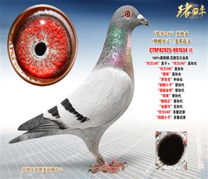 ��˹�D.�����ߠ�