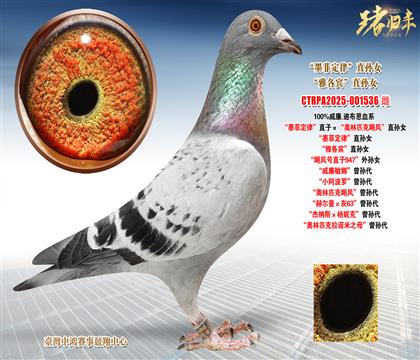 ����.�ϲ�����ī�ƶ��ɡ�ֱ�ӡ����W��ƥ���Z�L(f��ng)��ֱ�OŮ