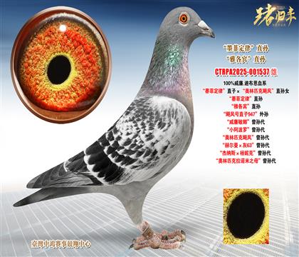 ����.�ϲ�����ī�ƶ��ɡ�ֱ�ӡ����W��ƥ���Z�L(f��ng)��ֱ�OŮ