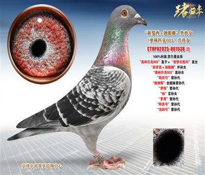 ���W.�R�������W��ƥ��003��ֱ�ӡ�����(m��ng)���䌦(du��)��ֱŮ