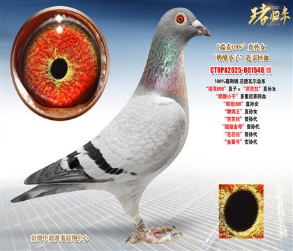 ��˹�D.�����ߠ������098��ֱ�ӡ����Ű�����ֱ�OŮ