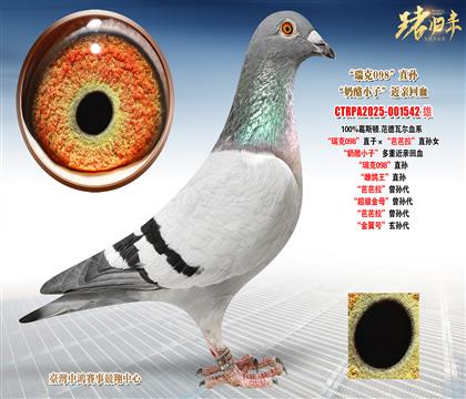 ��˹�D.�����ߠ������098��ֱ�ӡ����Ű�����ֱ�OŮ