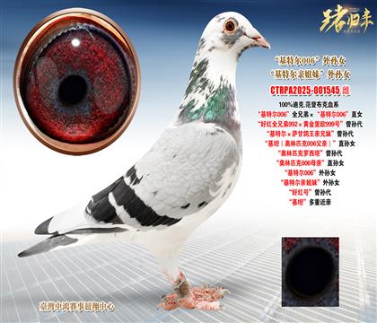 �Ͽ�.���ǲ��ˡ����ؠ�006��ȫ�ֵܡ������ؠ�006��ֱŮ