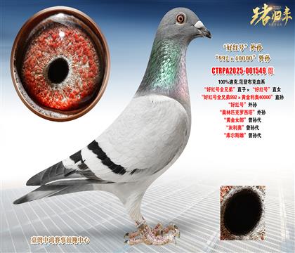 �Ͽ�.���ǲ��ˡ��üt̖(h��o)ȫ�ֵܡ�ֱ�ӡ����üt̖(h��o)��ֱŮ